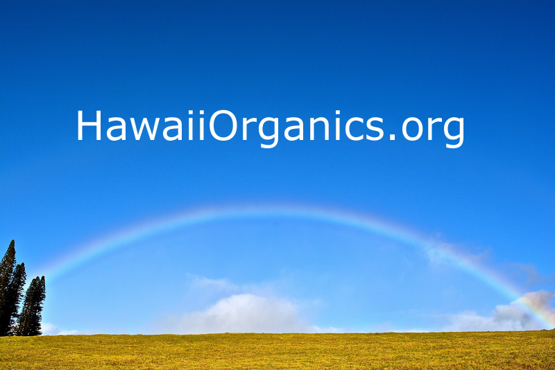 HawaiiOrganics.org